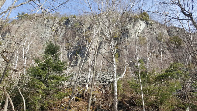 Cliff face through the leafless trees.