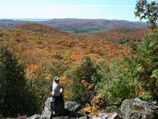 Girl looking over maple forest in fall.