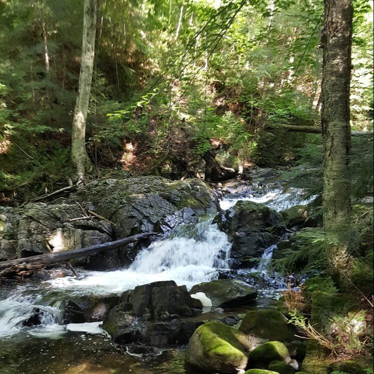 water falling over rocks in creek